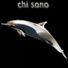 chi sono