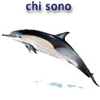 chi sono